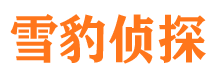 内江外遇调查取证